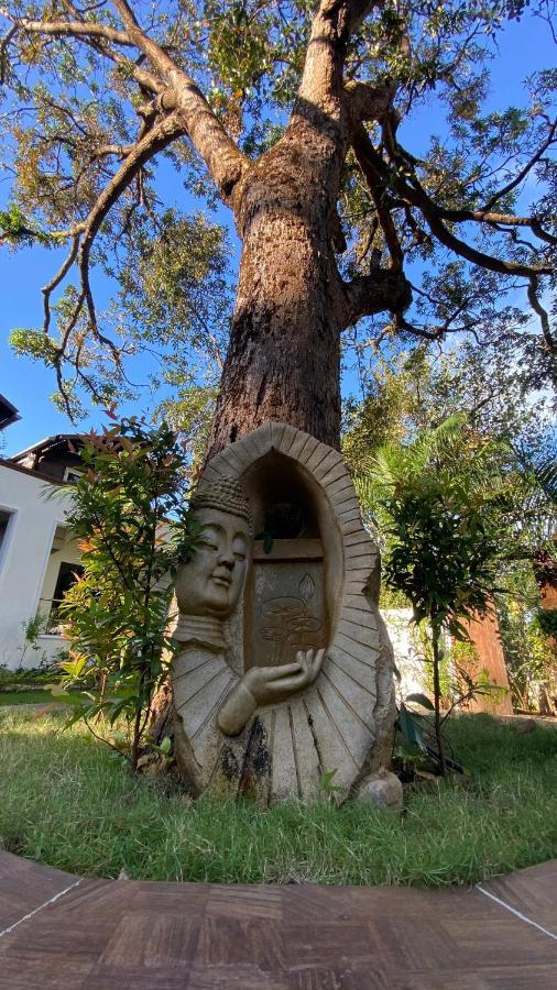 Jp Resort Arambol Dış mekan fotoğraf