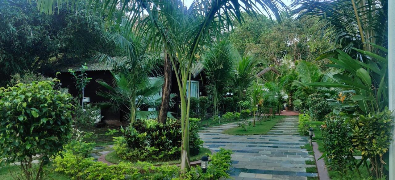 Jp Resort Arambol Dış mekan fotoğraf