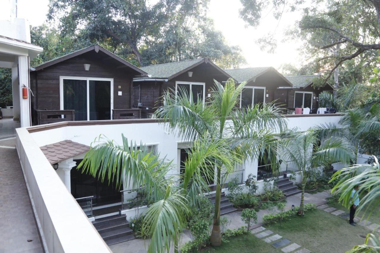 Jp Resort Arambol Dış mekan fotoğraf