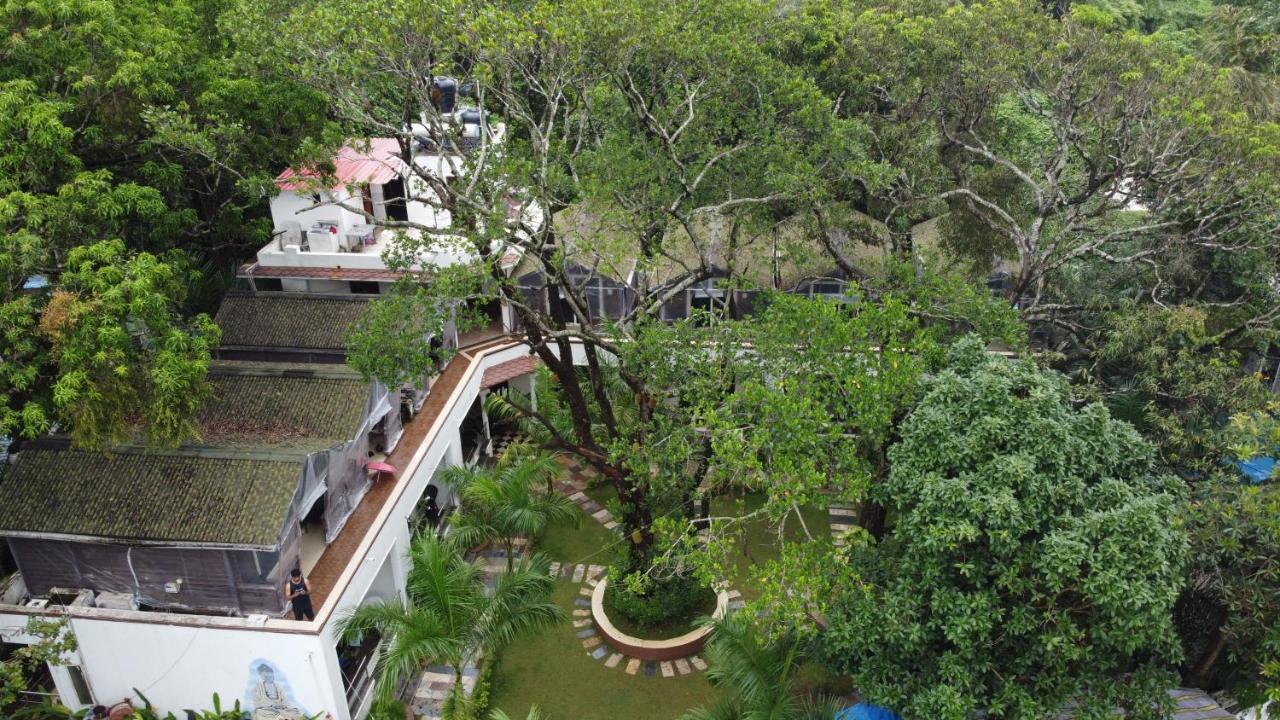 Jp Resort Arambol Dış mekan fotoğraf