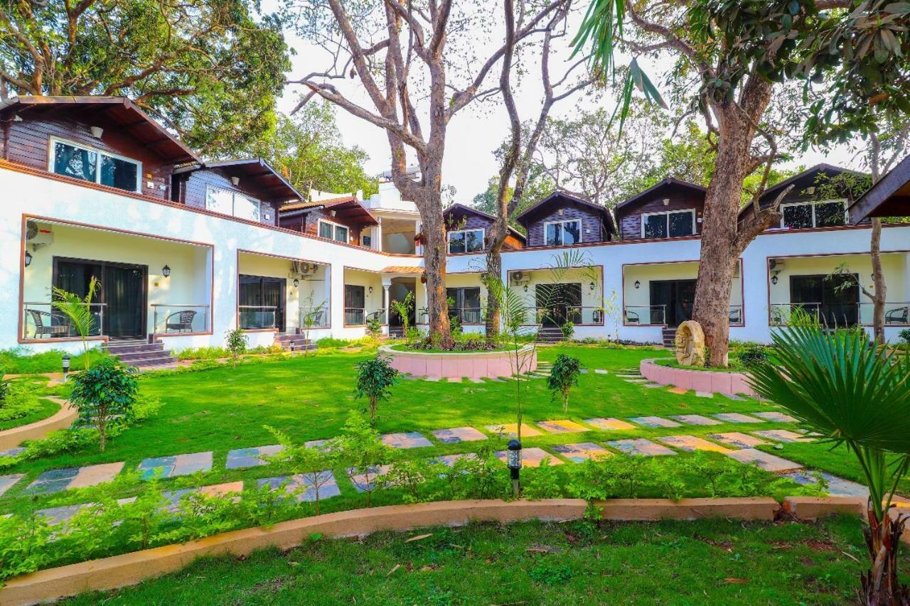 Jp Resort Arambol Dış mekan fotoğraf