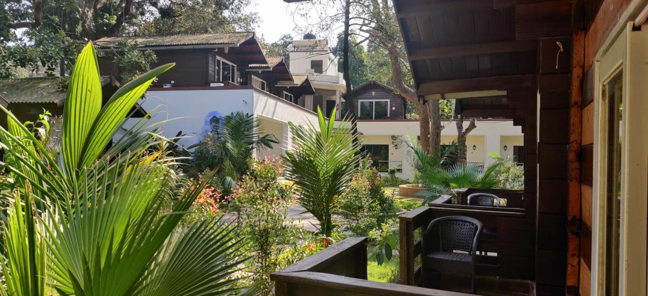 Jp Resort Arambol Dış mekan fotoğraf